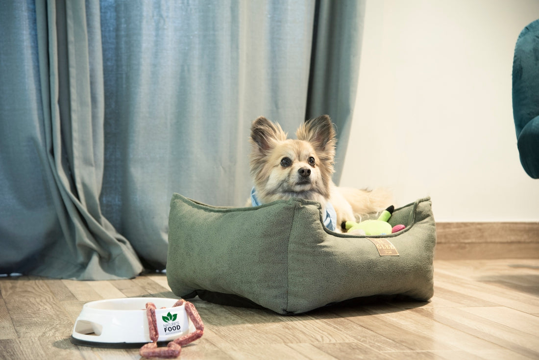 a small dog sitting in a dog bed on the floor