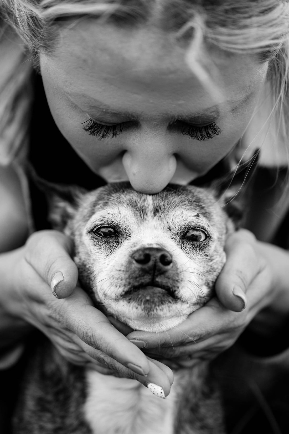 Essential Checklist for First-Time Pet Owners - My Pet Serenity