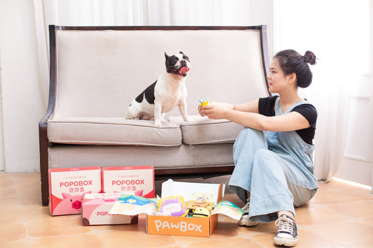 A woman plays with a dog near pet supply boxes.