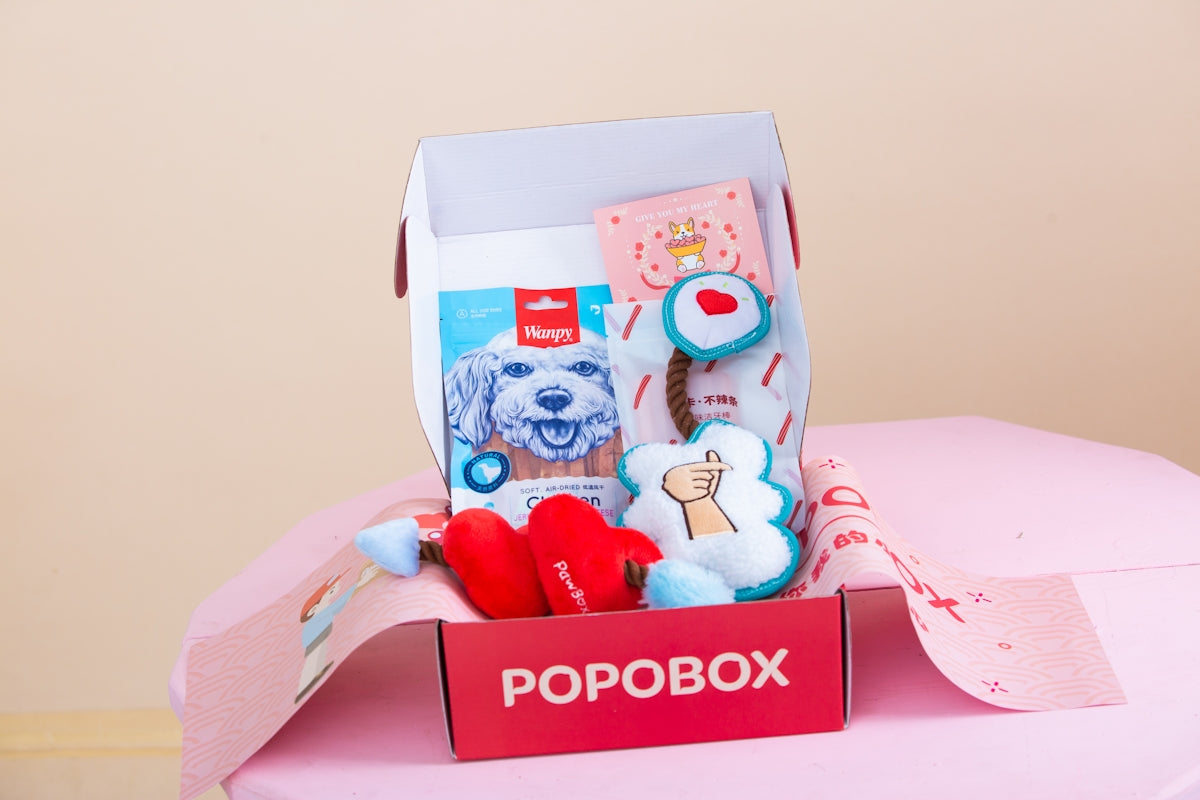 A dog-themed popobox with treats and toys.