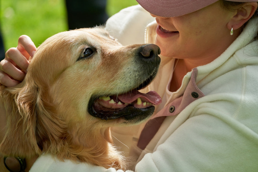 Managing Common Pet Health Issues and How to Solve Them - My Pet Serenity
