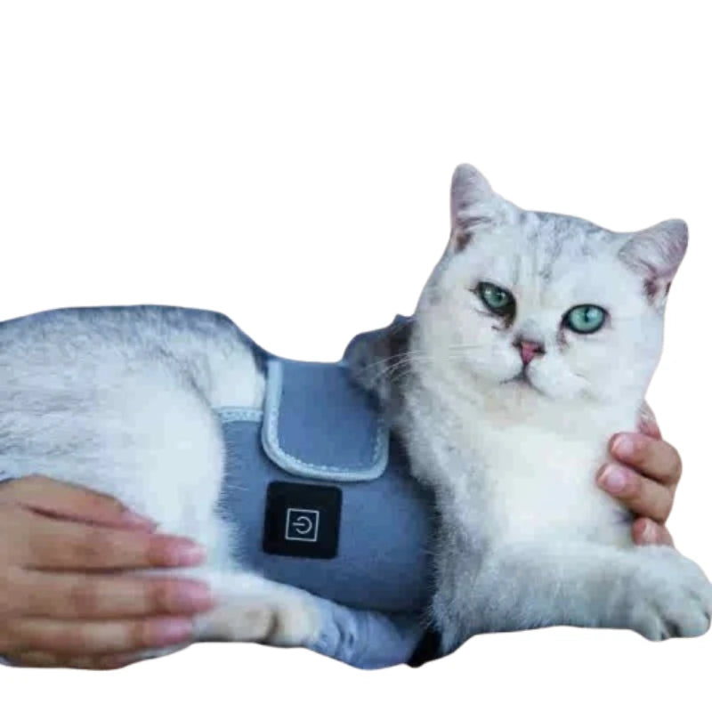 Handheld 660nm Red/NIR Laser Therapy for Pets and Humans Pain Relief - My Pet Serenity