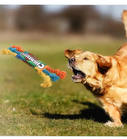 Rainbow Twist Candy Dog Chew Toy with Squeaker - Bite-Resistant - My Pet Serenity