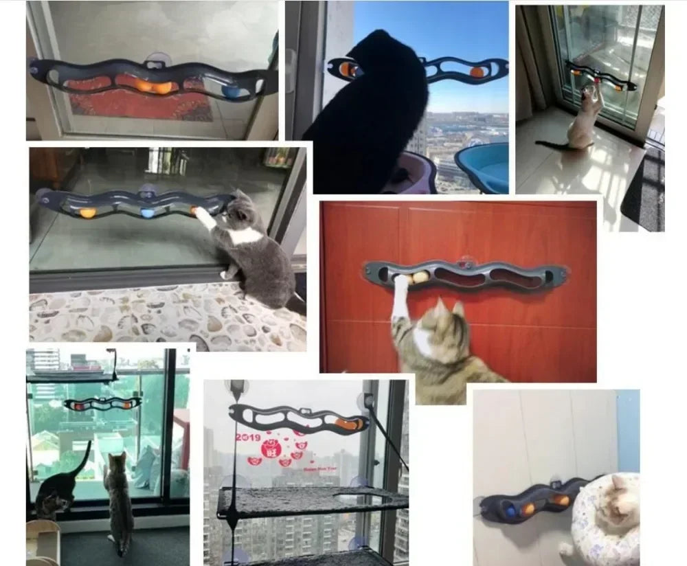 Cat Track Toy with Suction Cup Ball for Window/Glass Mount - My Pet Serenity