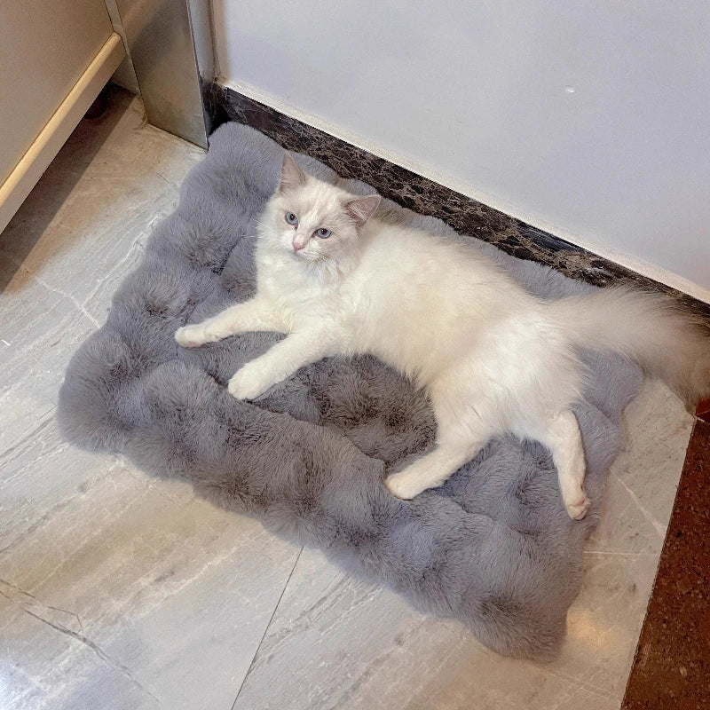 Winter Bubble Fleece Pet Sleeping Pad 50x70cm for Cats and Dogs - My Pet Serenity
