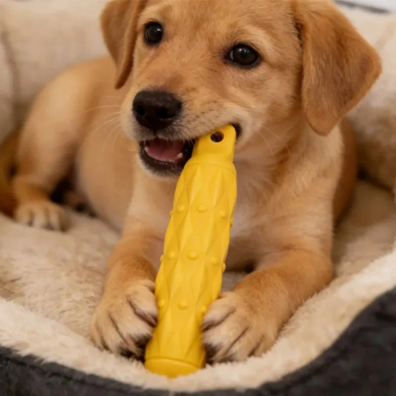Durable EVA Dog Chew Toy for Large Breeds - Indestructible Safe - My Pet Serenity