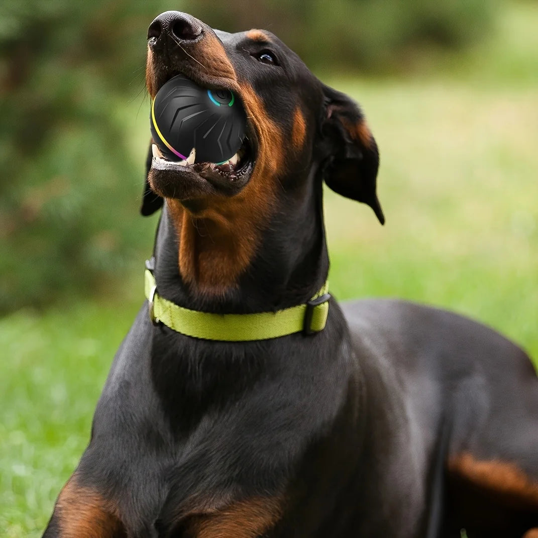 Interactive Dog Toy: Random Rolling, Jumping Lights, 4-Hour Battery - My Pet Serenity
