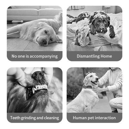 USB Interactive Dog Toy Ball Electronic Moving Ball for Puppies - My Pet Serenity