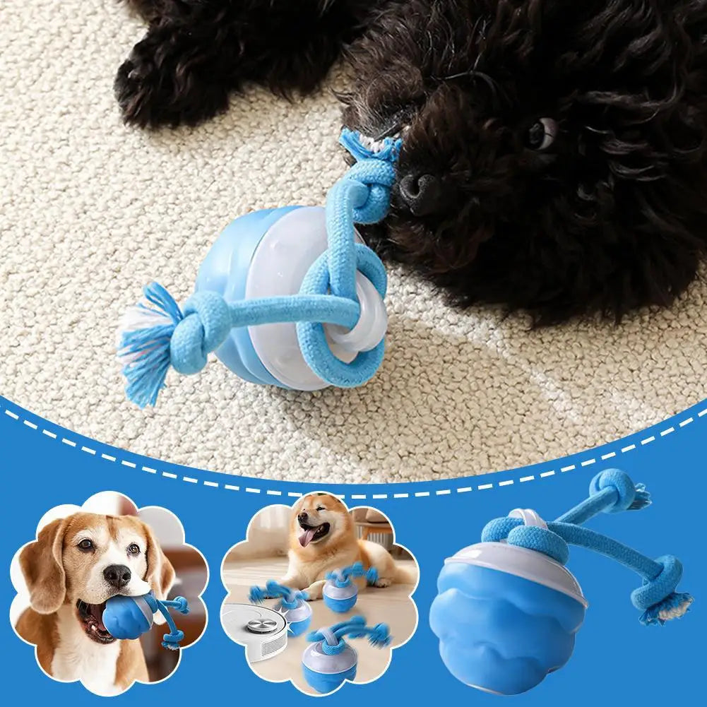 USB Interactive Dog Toy Ball Electronic Moving Ball for Puppies - My Pet Serenity