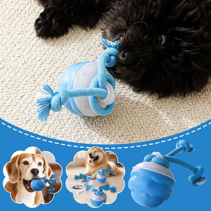 USB Interactive Dog Toy Ball Electronic Moving Ball for Puppies - My Pet Serenity