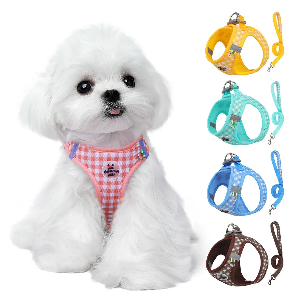 Checkered Pet Harness and Leash Set for Small Dogs & Cats, Breathable - My Pet Serenity