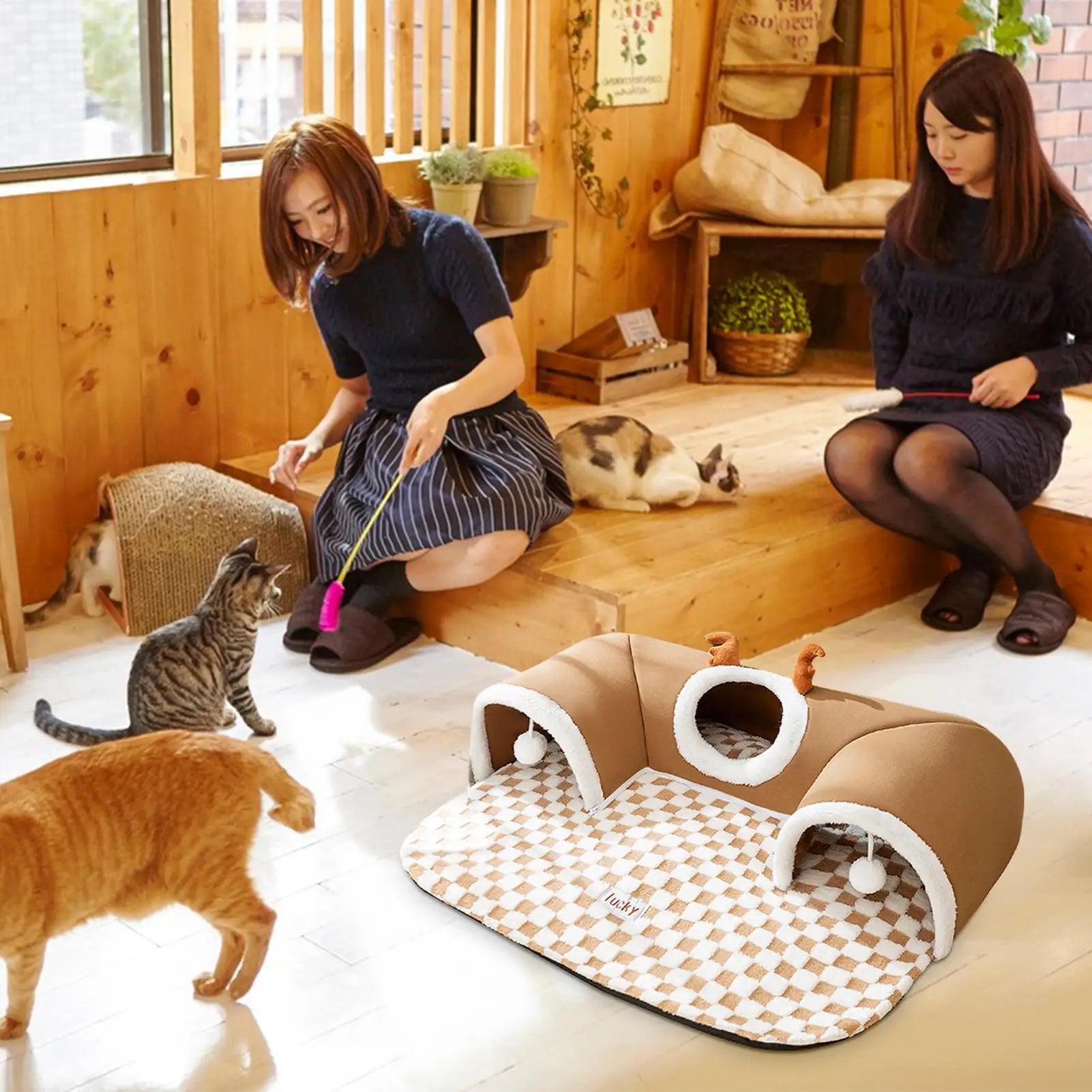 Cat Bed, Foldable Play Tunnel & Tent with Plush Mat – Indoor Hideaway - My Pet Serenity