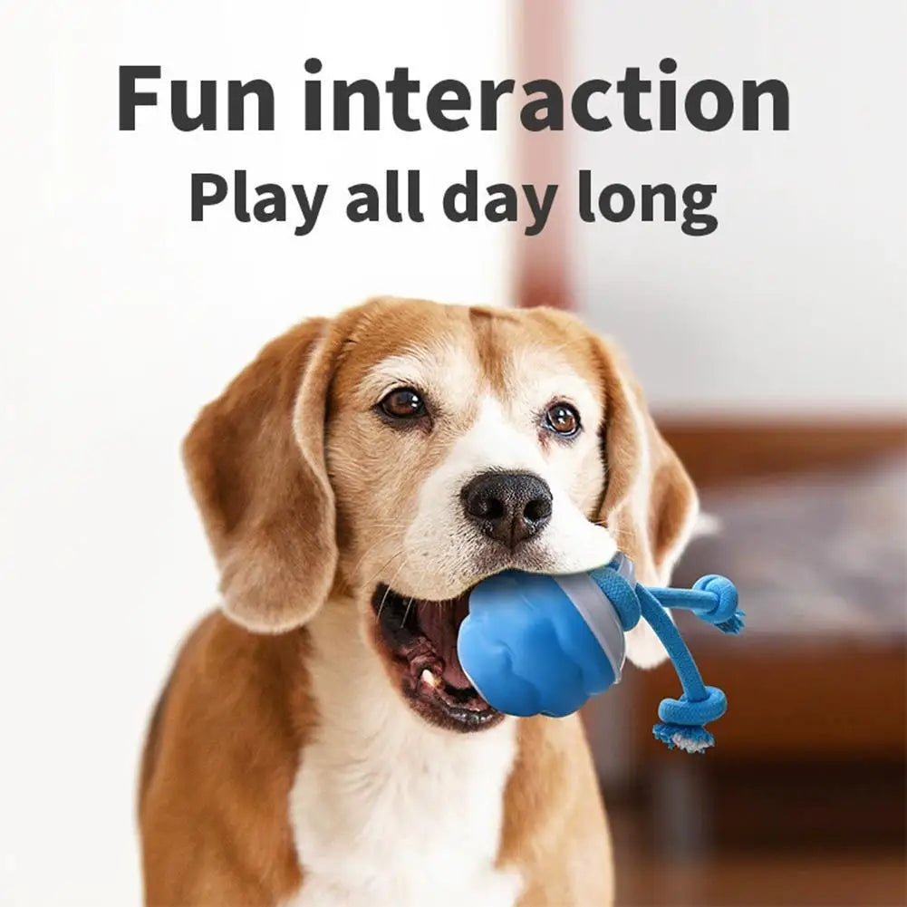 USB Interactive Dog Toy Ball Electronic Moving Ball for Puppies - My Pet Serenity