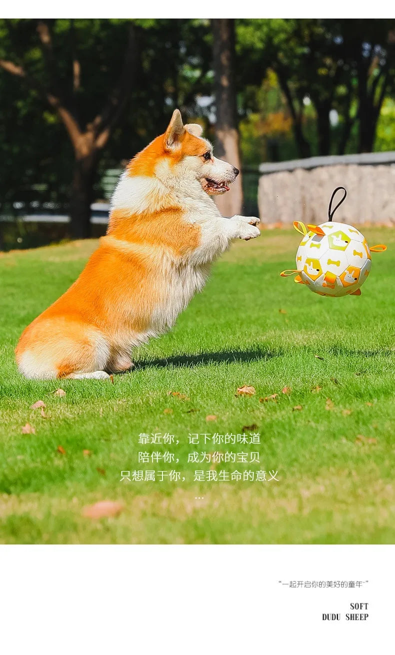 Dog Training Soccer Ball Toy Inflatable Chew-Resistant Squeaky - My Pet Serenity