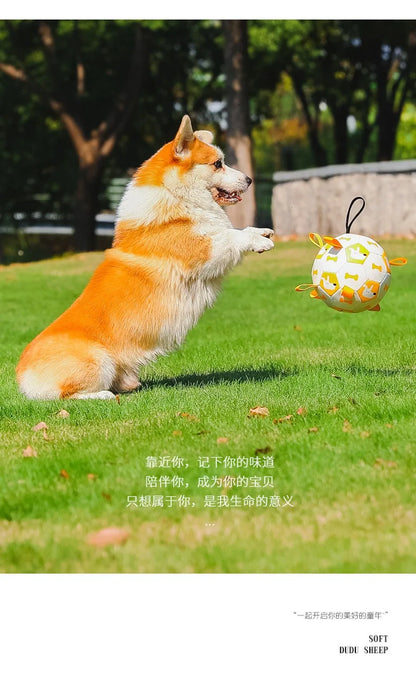 Dog Training Soccer Ball Toy Inflatable Chew-Resistant Squeaky - My Pet Serenity
