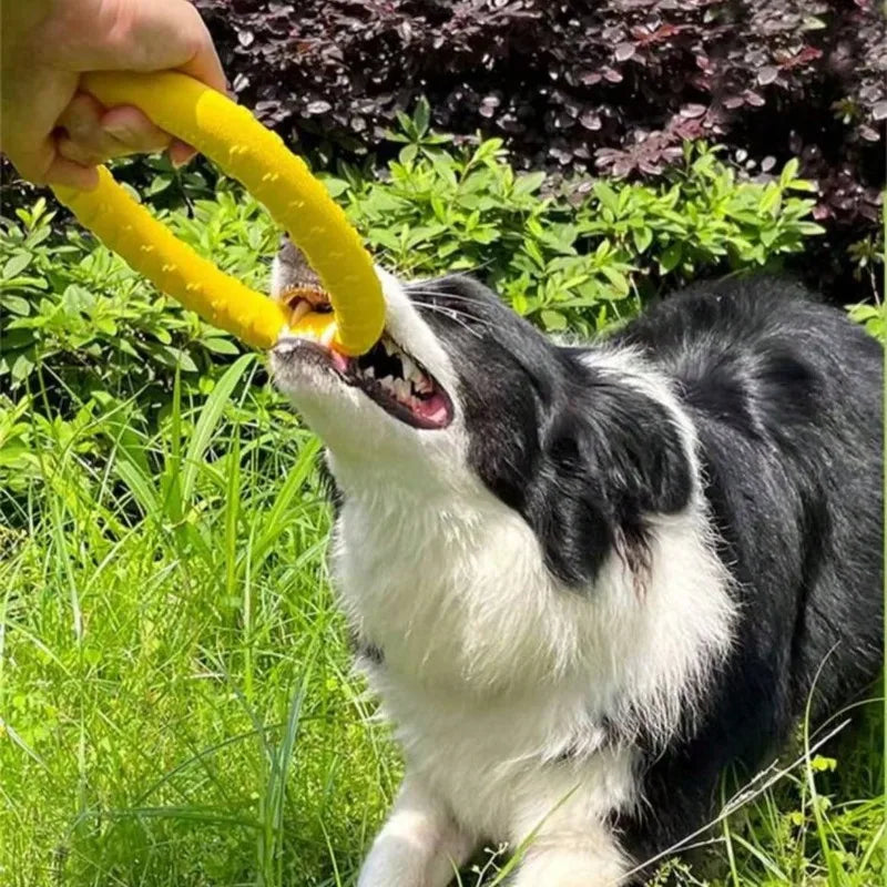 Dog Ring Toy Indestructible Chew Flying Floating Fetch for Dogs - My Pet Serenity