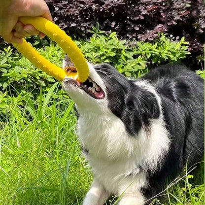 Dog Ring Toy Indestructible Chew Flying Floating Fetch for Dogs - My Pet Serenity
