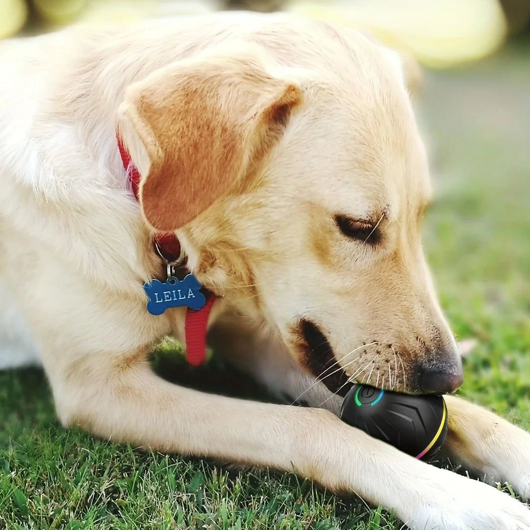 Interactive Dog Toy: Random Rolling, Jumping Lights, 4-Hour Battery - My Pet Serenity