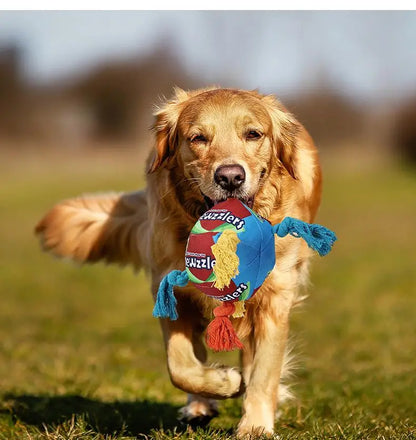 Rainbow Twist Candy Dog Chew Toy with Squeaker - Bite-Resistant - My Pet Serenity