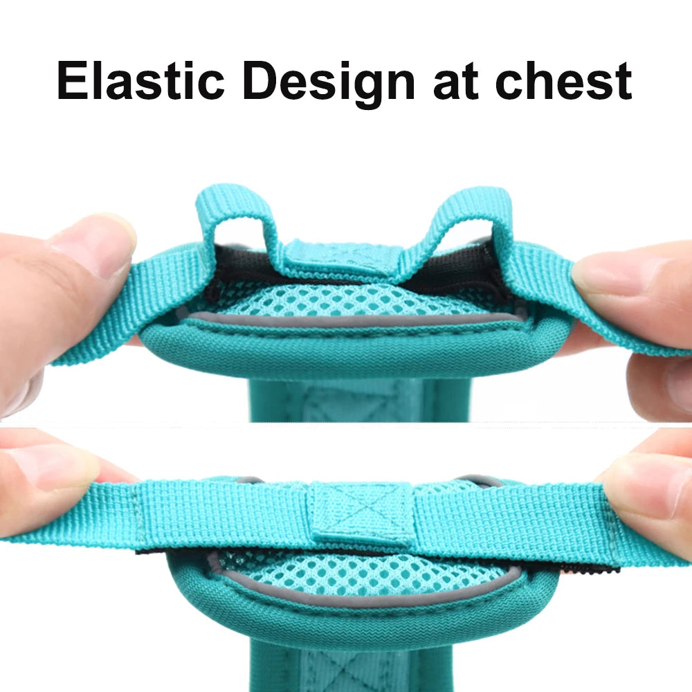 Cat Harness and Leash Set - Escape-Proof, Reflective, Outdoor Walking - My Pet Serenity