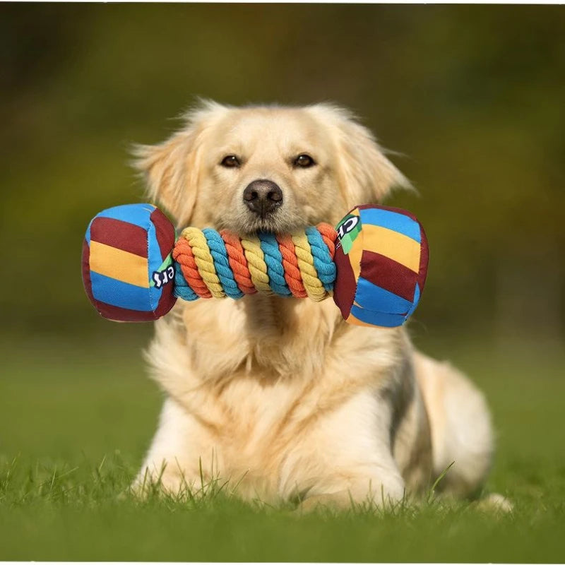 Rainbow Twist Candy Dog Chew Toy with Squeaker - Bite-Resistant - My Pet Serenity