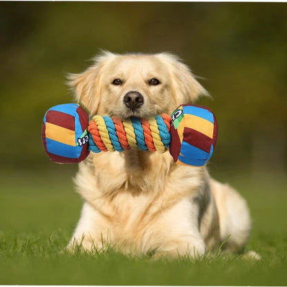 Rainbow Twist Candy Dog Chew Toy with Squeaker - Bite-Resistant - My Pet Serenity
