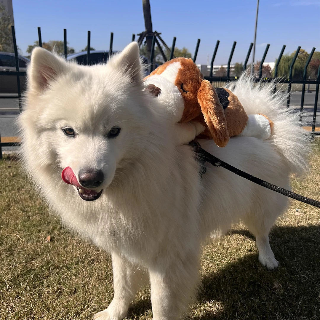 Puppy Heartbeat Toy with Squeaky Chew for Crates and Kennels Sleep Aid - My Pet Serenity