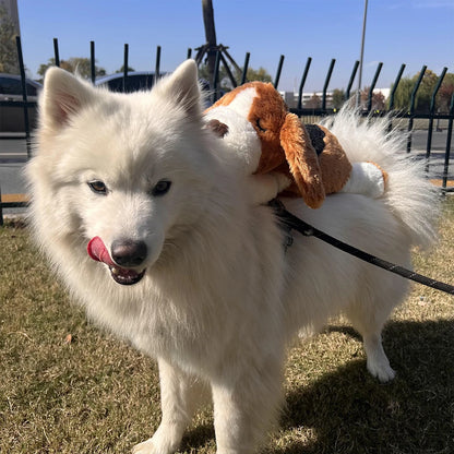 Puppy Heartbeat Toy with Squeaky Chew for Crates and Kennels Sleep Aid - My Pet Serenity