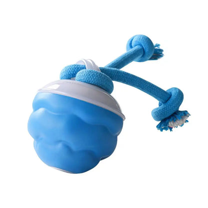 USB Interactive Dog Toy Ball Electronic Moving Ball for Puppies - My Pet Serenity