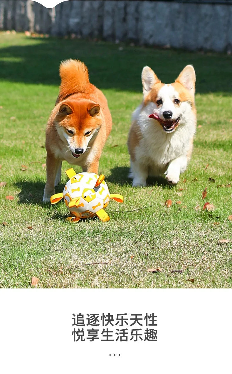 Dog Training Soccer Ball Toy Inflatable Chew-Resistant Squeaky - My Pet Serenity