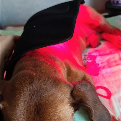 Handheld 660nm Red/NIR Laser Therapy for Pets and Humans Pain Relief - My Pet Serenity