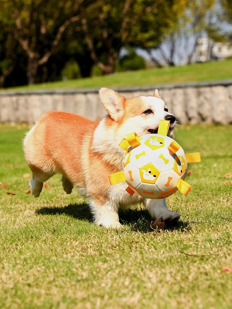 Dog Training Soccer Ball Toy Inflatable Chew-Resistant Squeaky - My Pet Serenity