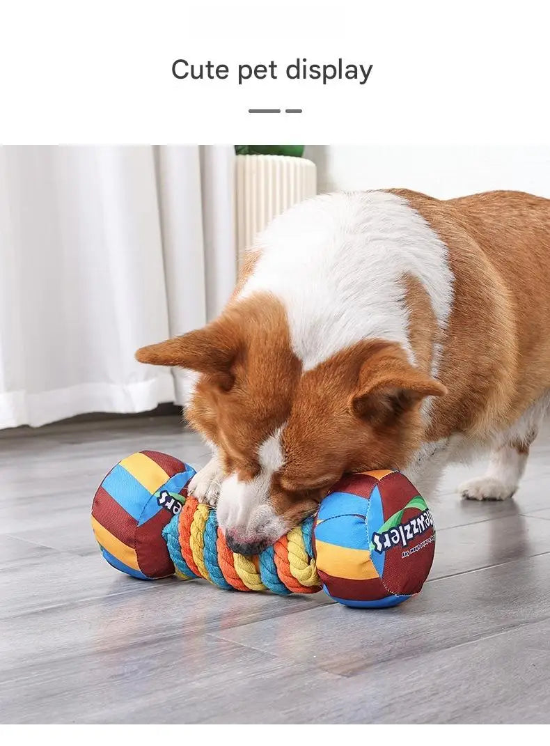 Rainbow Twist Candy Dog Chew Toy with Squeaker - Bite-Resistant - My Pet Serenity