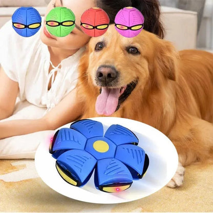 Dog Toy Flying UFO Morph Ball Outdoor Interactive Training Ball - My Pet Serenity