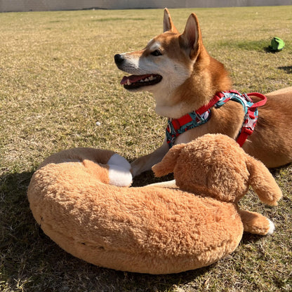 Dog and Cat Heartbeat Toy for Comfort and Behavioral Training - My Pet Serenity