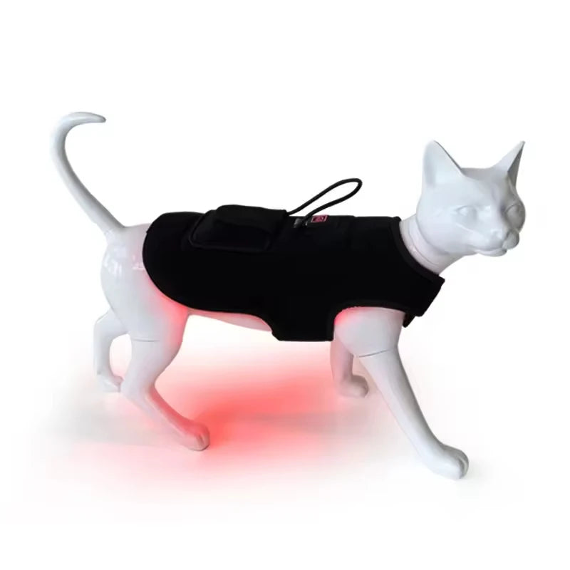 Red Light Therapy Vest for Cats & Dogs – Post-Op Pain Relief - My Pet Serenity