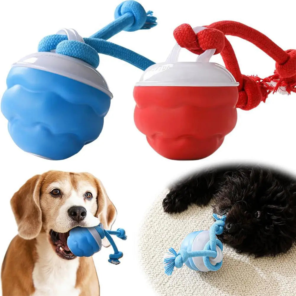 USB Interactive Dog Toy Ball Electronic Moving Ball for Puppies - My Pet Serenity