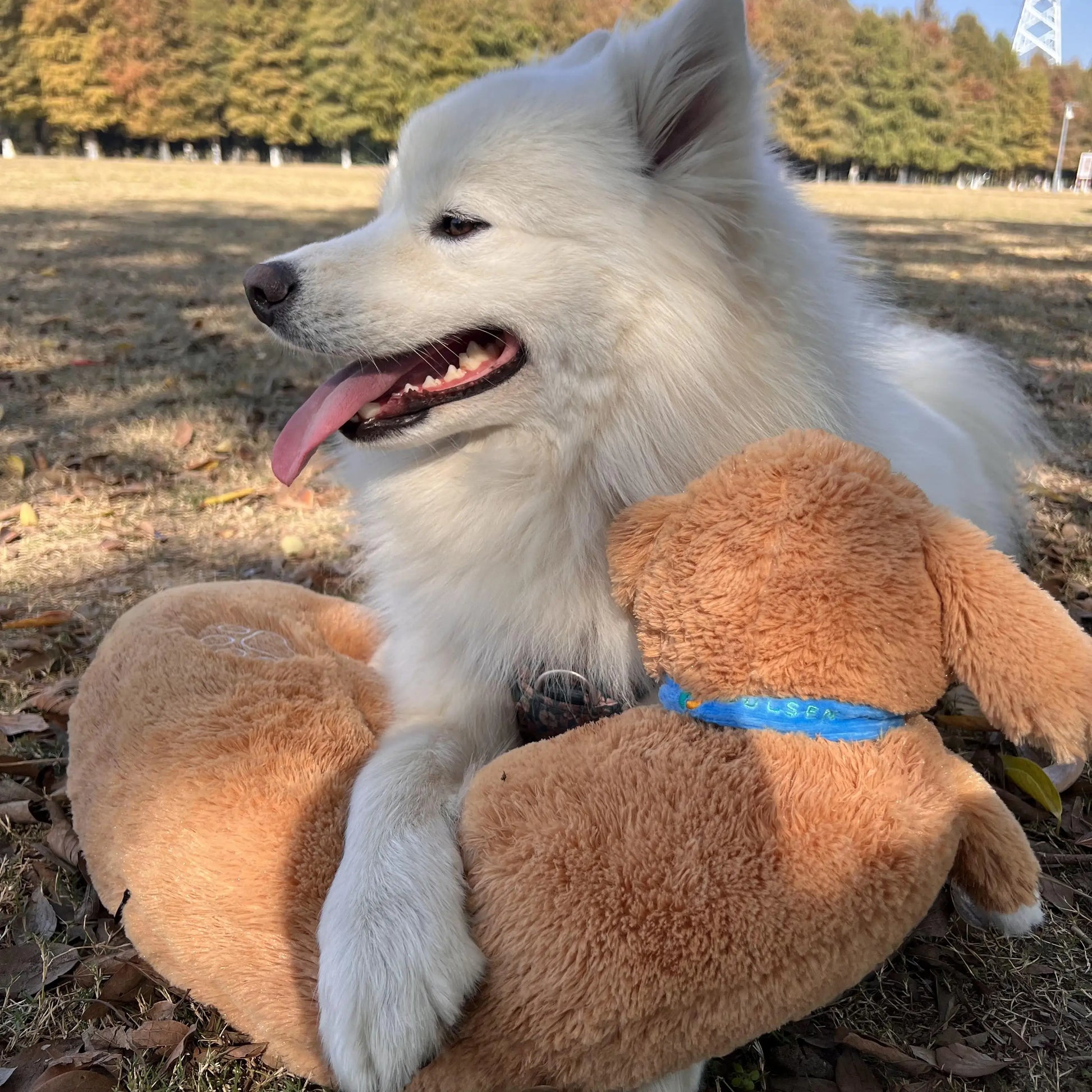 Dog and Cat Heartbeat Toy for Comfort and Behavioral Training - My Pet Serenity