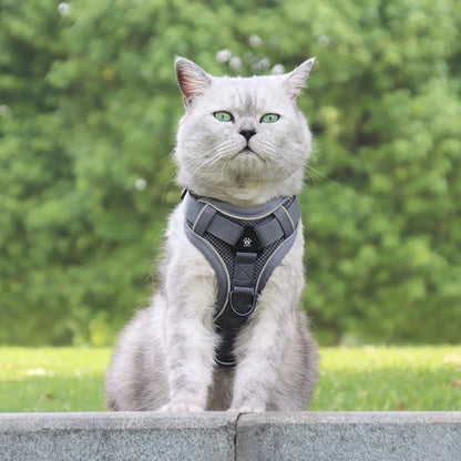 Cat Harness and Leash Set - Escape-Proof, Reflective, Outdoor Walking - My Pet Serenity