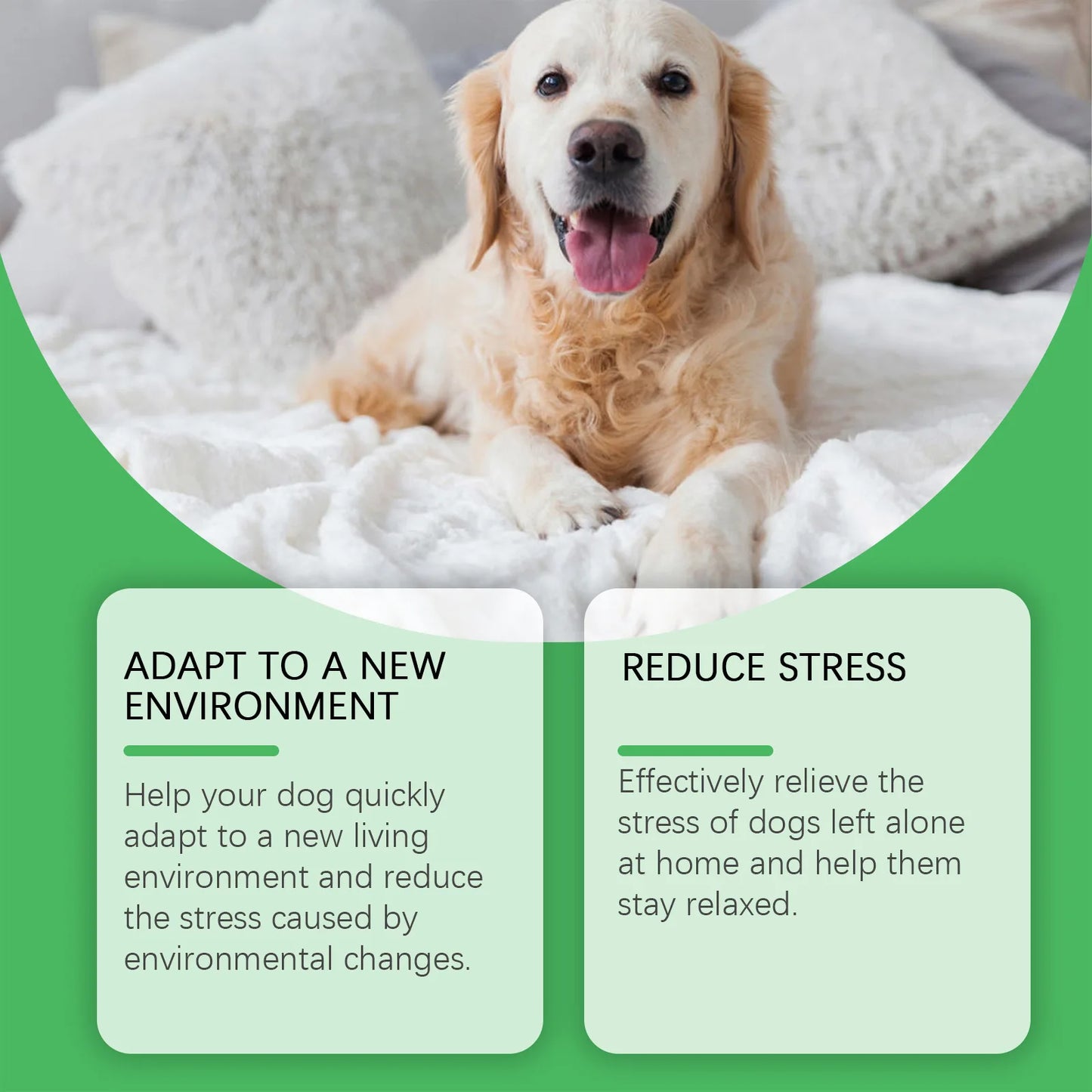 Pet pheromone calming diffuser for cats and dogs plug-in refill spray - My Pet Serenity