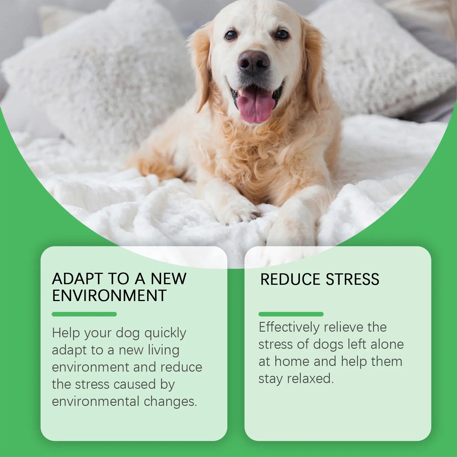 Pet pheromone calming diffuser for cats and dogs plug-in refill spray - My Pet Serenity