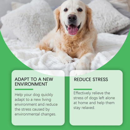 Pet pheromone calming diffuser for cats and dogs plug-in refill spray - My Pet Serenity