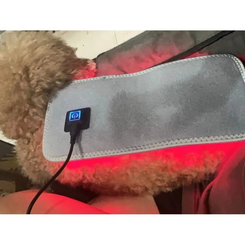 Handheld 660nm Red/NIR Laser Therapy for Pets and Humans Pain Relief - My Pet Serenity