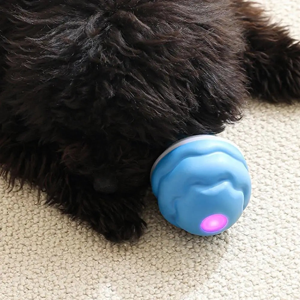USB Interactive Dog Toy Ball Electronic Moving Ball for Puppies - My Pet Serenity