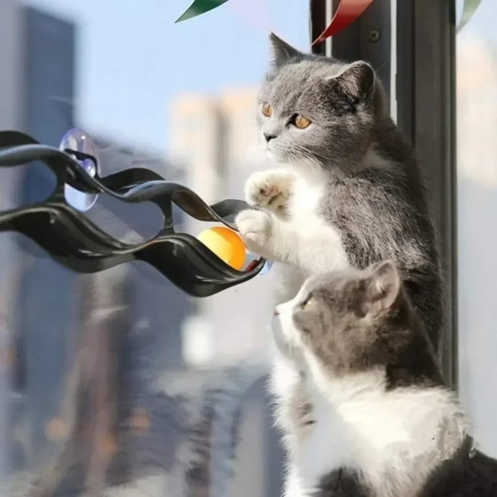 Cat Track Toy with Suction Cup Ball for Window/Glass Mount - My Pet Serenity