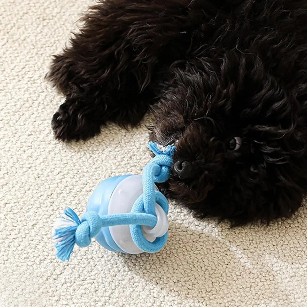 USB Interactive Dog Toy Ball Electronic Moving Ball for Puppies - My Pet Serenity