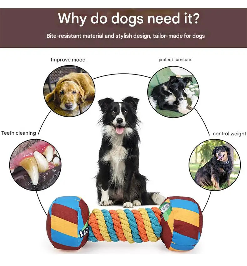 Rainbow Twist Candy Dog Chew Toy with Squeaker - Bite-Resistant - My Pet Serenity