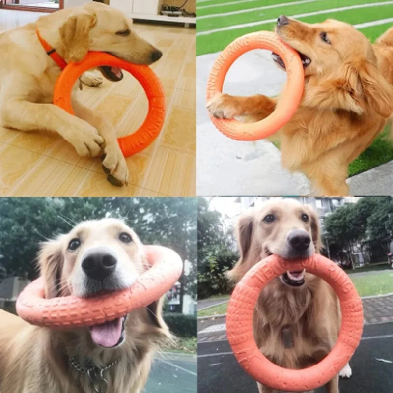 Orange EVA Dog Training Ring & Flying Disk Toy - Interactive Puller - My Pet Serenity