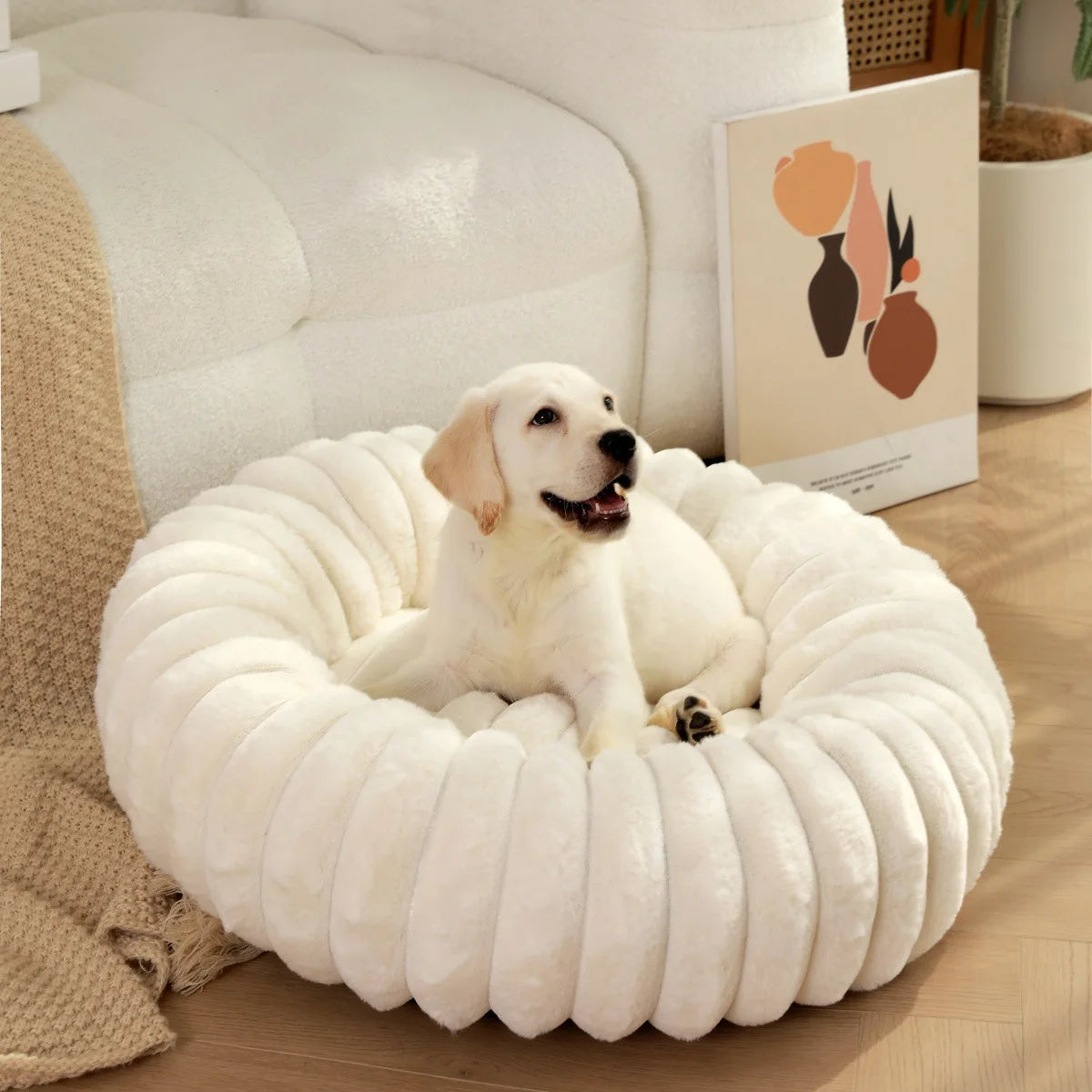Round Pet Bed for Large Dogs and Cats, Washable All-Season Sofa Bed - My Pet Serenity
