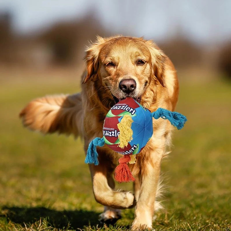 Rainbow Twist Candy Dog Chew Toy with Squeaker - Bite-Resistant - My Pet Serenity